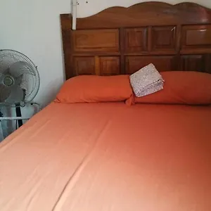 Luna Vallarta Pensión